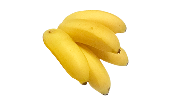 rc